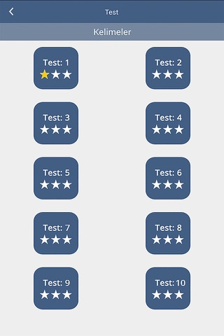 YDS Test Pro screenshot 2