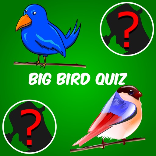 Big Bird Watchers Quiz Maestro: Ornithology Watching Word Trivia iOS App