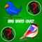 Big Bird Watchers Quiz Maestro: Ornithology Watching Word Trivia