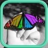 Color Editor FX HD - Recolor Photo & Splash Picture Effects