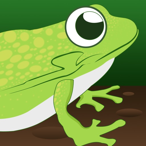 Lazy Frog Pond Race - crazy fast racing arcade game iOS App