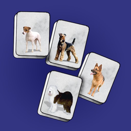 Dog Jongg Free iOS App