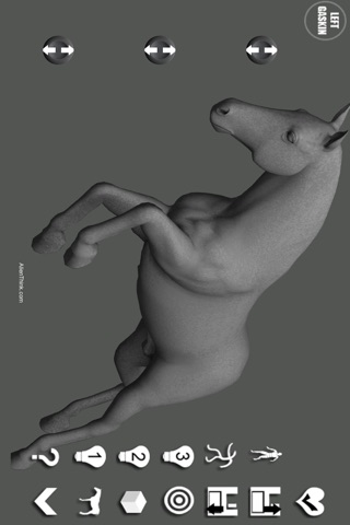 Horse Pose Tool screenshot 4