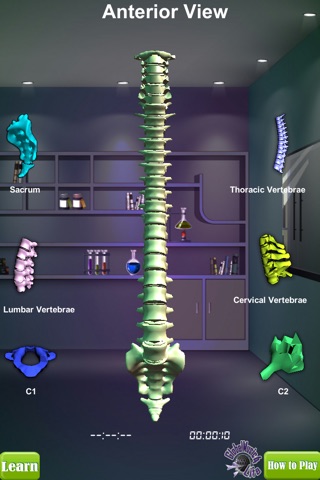 GM4L Spine Bone Game screenshot 2