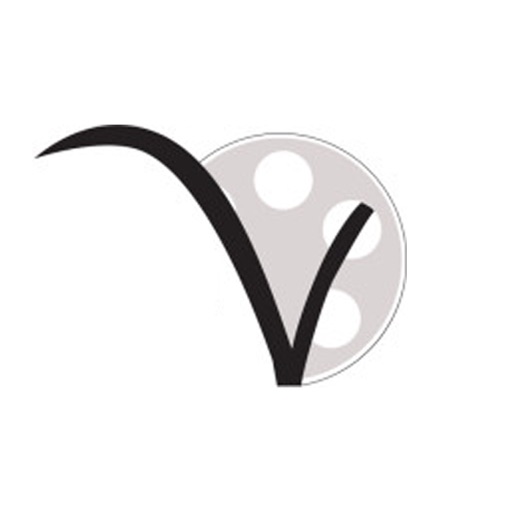 Vision Blog icon