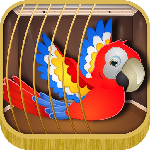 Escape Games 331 iOS App