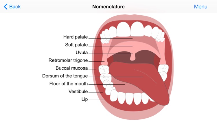 DentAdvisor: Oral Care Expert screenshot-3