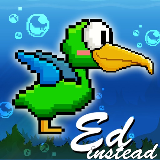 Splashy Bird Ed Instead! - Learn while you Splash iOS App