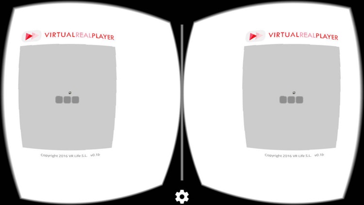 Virtual Real Player
