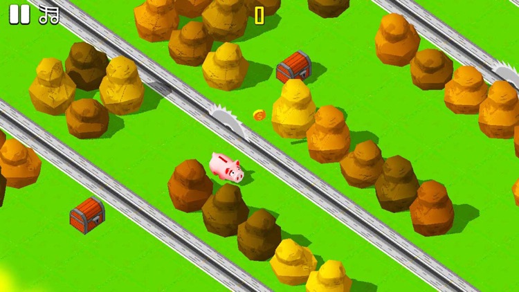 Puppy Top Down Traffic Road Crossing screenshot-4