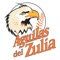 Águilas del Zulia, en la búsqueda de mantener informado a los fanáticos del equipo con información oportuna acerca del acontecer diario del equipo, crea una de aplicación móvil para teléfonos inteligentes, que te permitirá estar actualizado con las noticias, conocer las estadísticas, ver el calendario, conocer los peloteros activos de la semana, escuchar la radio en vivo, todo esto de forma rápida y sencilla