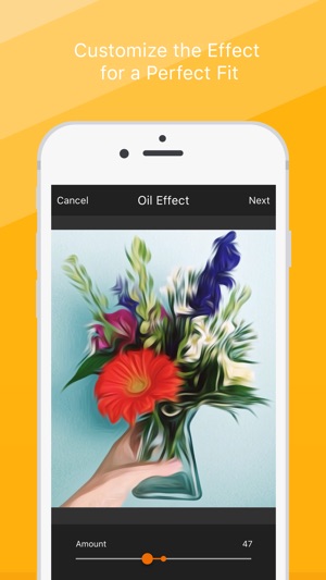 Oil Painting Effect - Convert Your Photos into Oil Paintings(圖3)-速報App