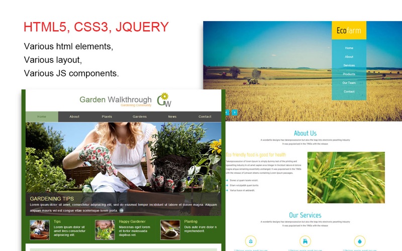 Website Template (Foods &amp; Plant &amp; Animal) With Html Files Pack3 thumbnail 3