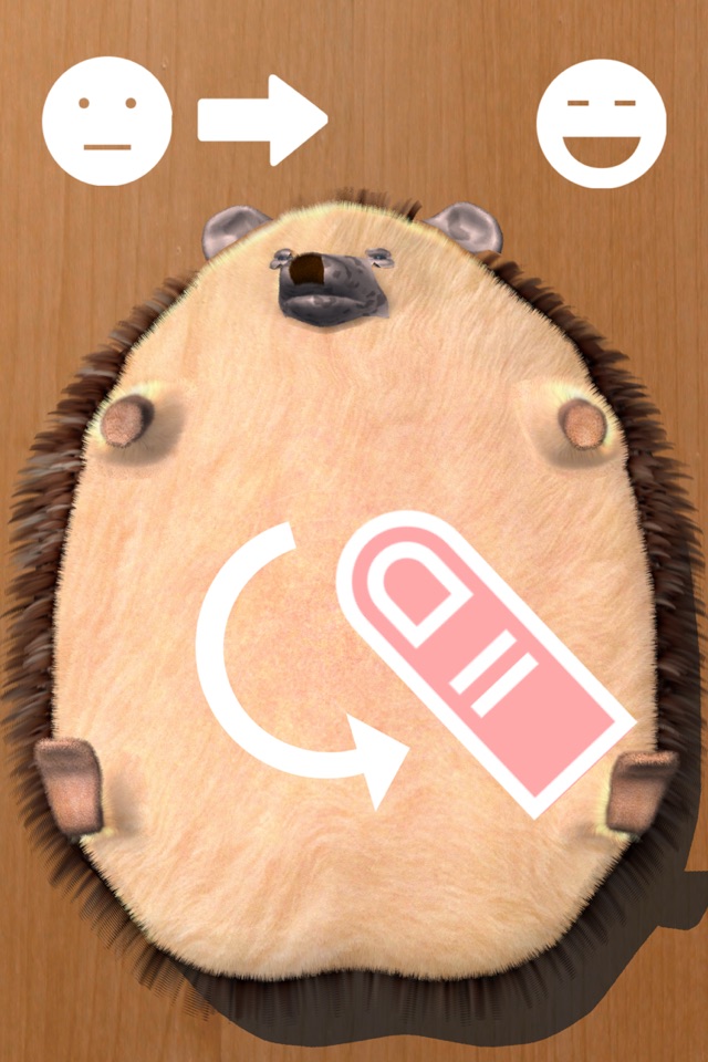 Super Belly Rub: Hedgehog Massage Parlor screenshot 2