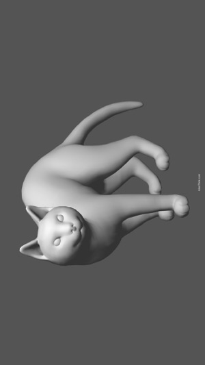 Cat Pose Tool 3D(圖4)-速報App