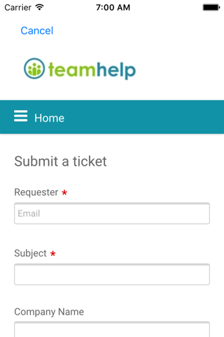 Team Help Client screenshot 2