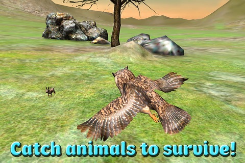 Owl Bird Survival Simulator 3D screenshot 2