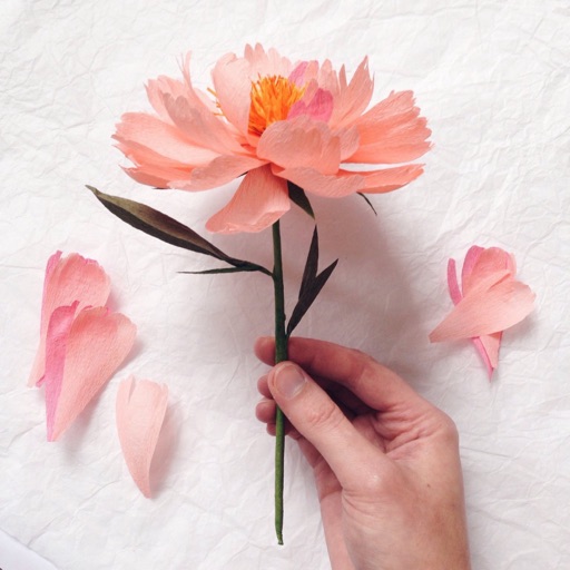 How to DIY Make Paper Flower：Guide and Tips icon