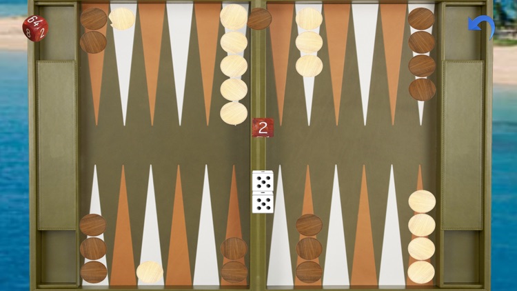 Advanced Backgammon