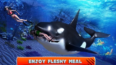 Killer Whale Beach Attack 3D Screenshot 4