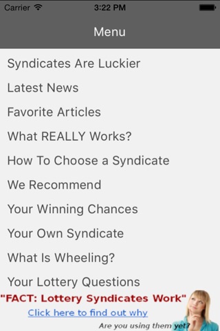 Lottery Syndicate World Review screenshot 2
