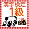 漢検1級 練習問題集2016
