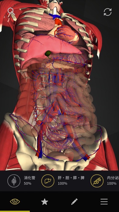 teamLabBody-Internal Organs-のおすすめ画像3