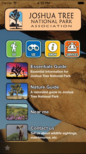 Joshua Tree National Park Essentials