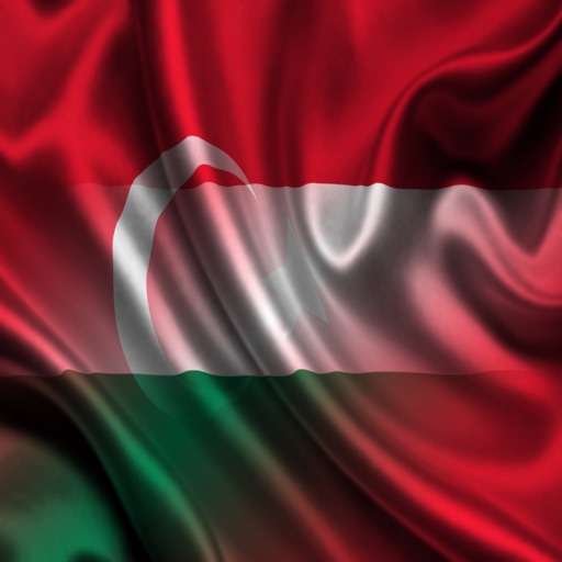 Türkiye Macaristan İfadeler Türk Macarca cümleler ses