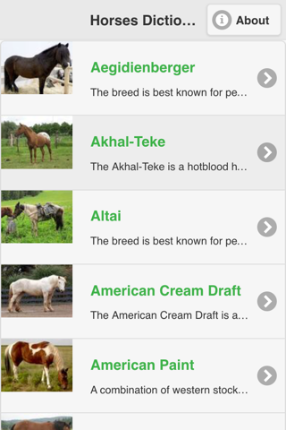 Horses Dictionary screenshot 4