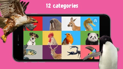 How to cancel & delete 100 Animals Words for Babies & Toddlers School Edition from iphone & ipad 4