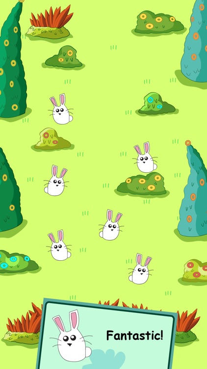 Bunny Evolution