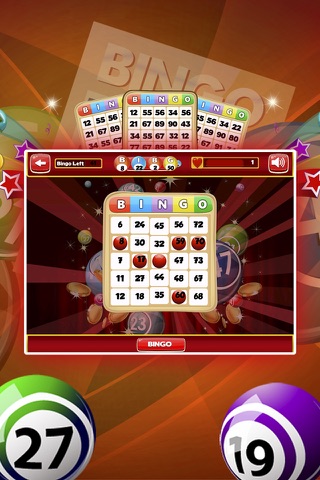 Bingo Kiwi Bash screenshot 3