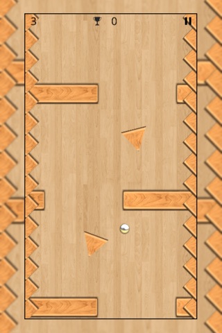 Wood Maze : The Infinity Labyrinth screenshot 2