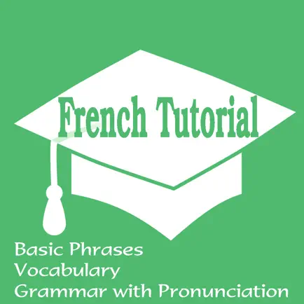 French Tutorial: Basic Phrases, Vocabulary and Grammar with Pronunciation Читы