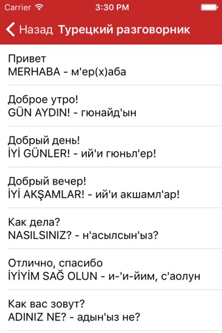 Русско-турецкий разговорник screenshot 3