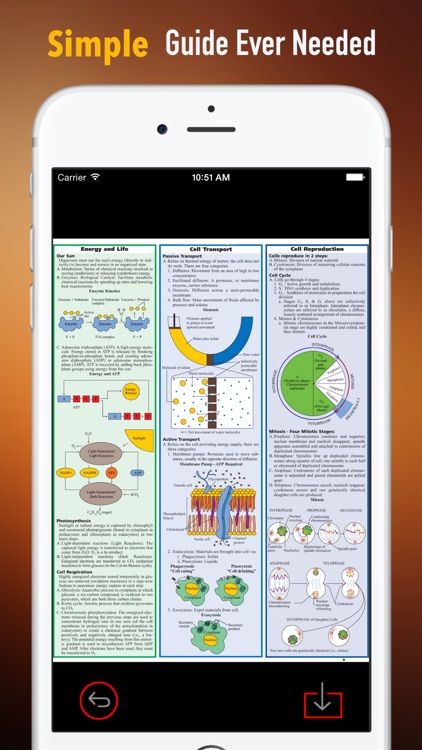 AP Biology Glossary: Cheatsheet with Study Guide