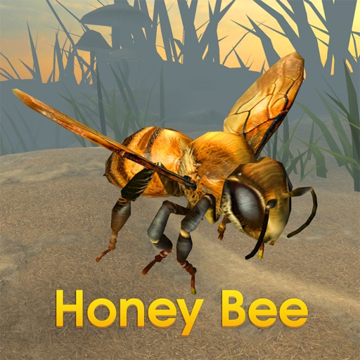 Honey Bee Simulator iOS App