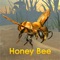 Honey Bee Simulator