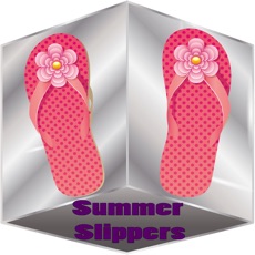 Activities of Summer Slipper Puzzle