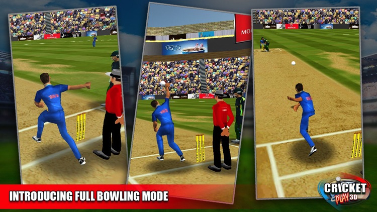 Cricket Play 3D - Live The Game (World Pro Team Challenge Cup 2016) screenshot-3