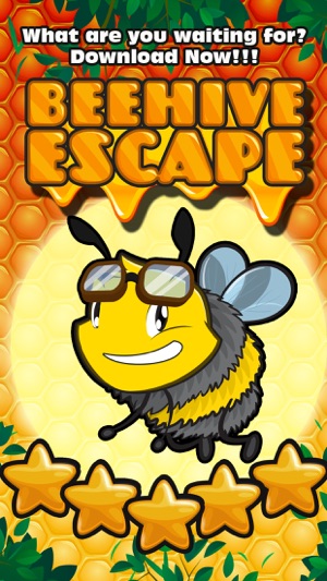 Beehive Escape(圖4)-速報App