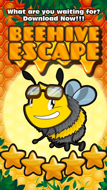 Beehive Escape screenshot-3