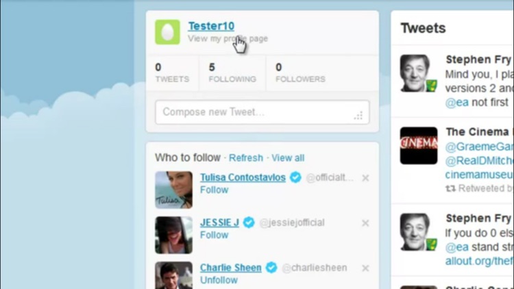 How To Use Twitter screenshot-3