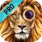Icon Insta Animal Face Maker Pro -  Change Your Face with Animals Stickers