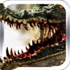 Alligator attacking simulator - wild animal hunt down