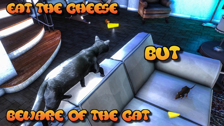 Rat Vs Cat Simulator 2016: Best Simulation of Mouse and Rat Trap Challenge! screenshot-3