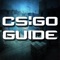 CS:GO Guide