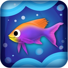 Activities of Best Hungry Fish