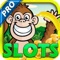 "A Monkey in the Jungle" Slots Machine : Banana and King Kong Island Heat Bonus Game Pro